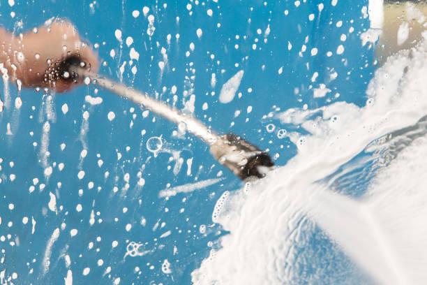 Best Animal Enclosure Cleaning  in Friendswood, TX
